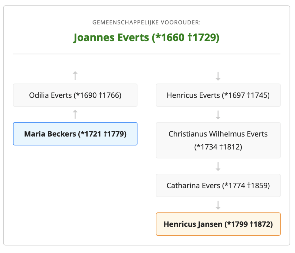 Hoe zijn we familie? Bereken de familieband. Een voorbeeld.