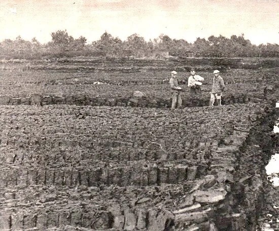 Turfgraven - het Helenaveen van toen