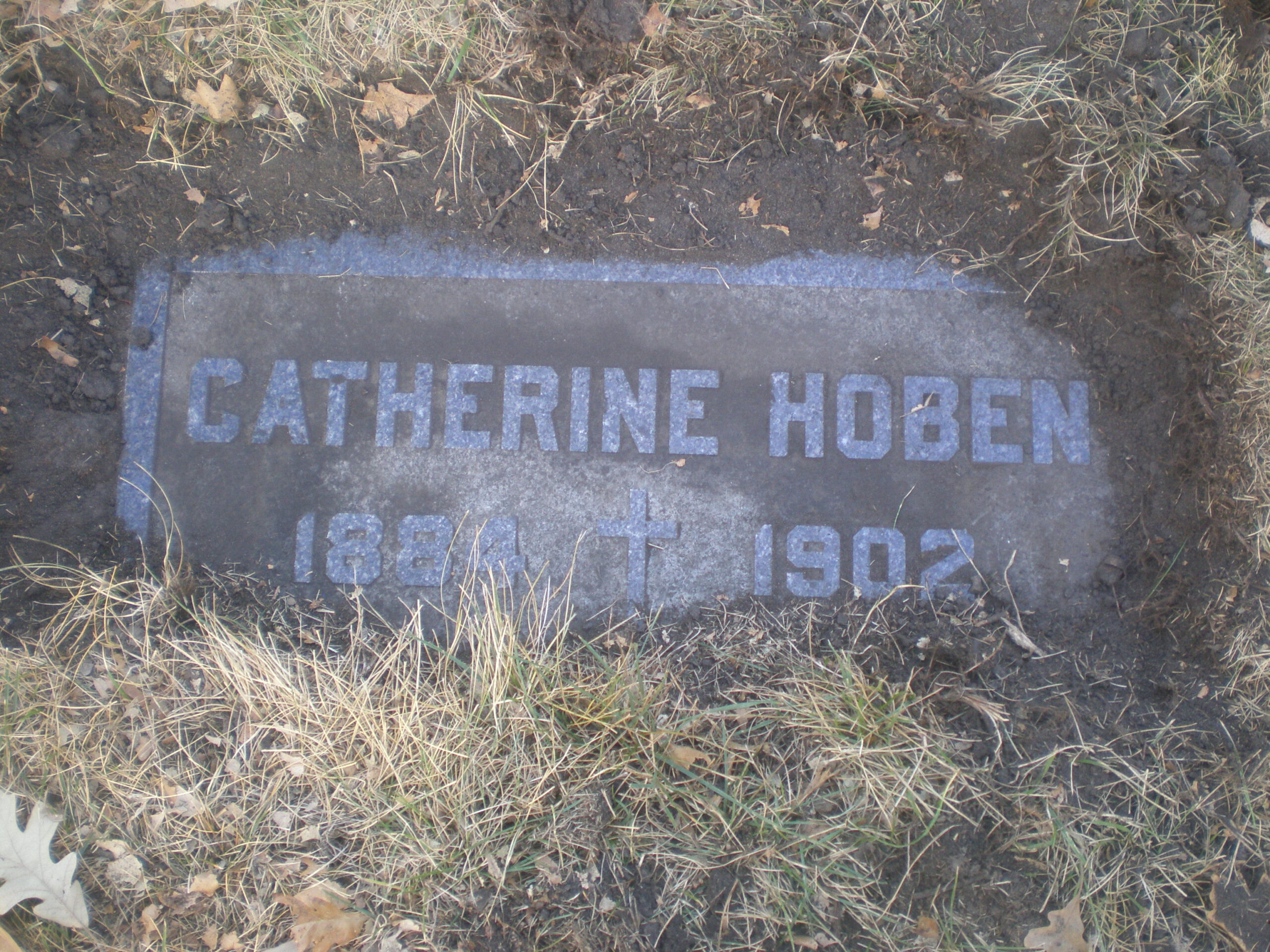 Kate C Hoban